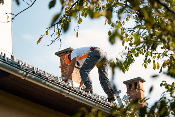 Professional Roofing in North Branch, MI