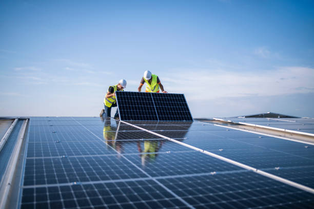 Best Roof Coating Services  in North Branch, MI