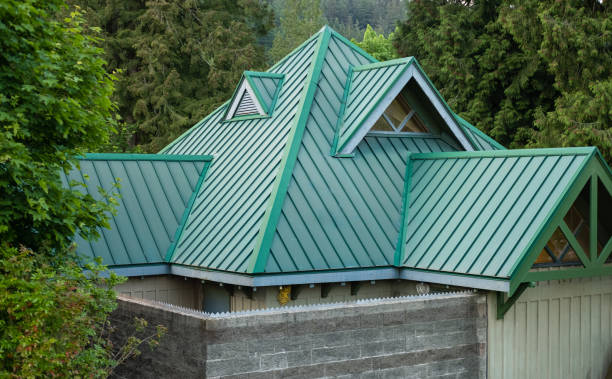 Best Asphalt Shingle Roofing  in North Branch, MI