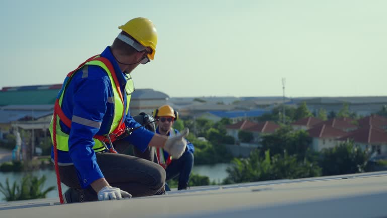 Best Roof Maintenance and Cleaning  in North Branch, MI