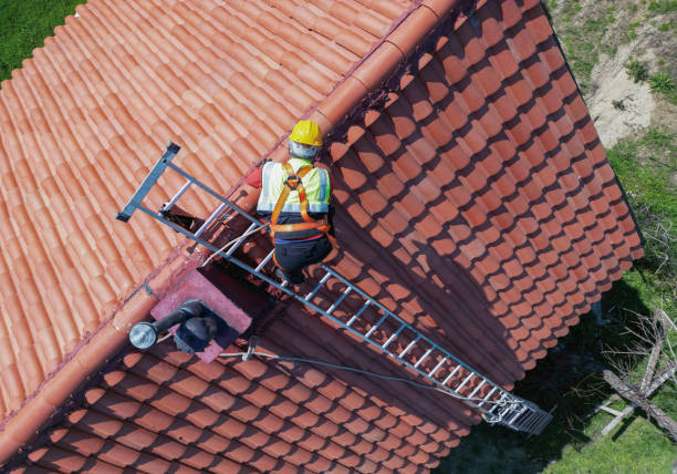 Best Roof Coating and Sealing  in North Branch, MI