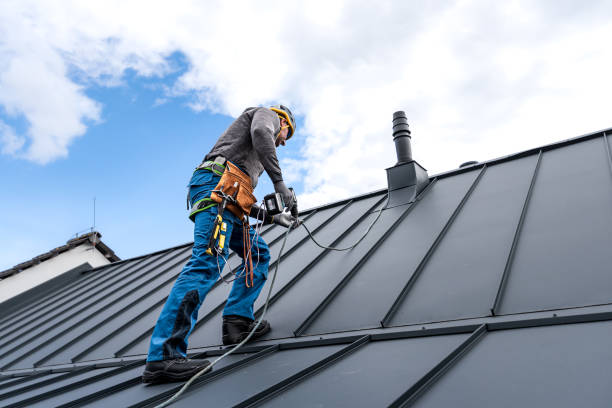 Best Commercial Roofing Services  in North Branch, MI